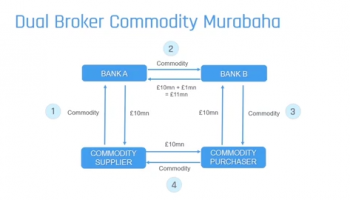 Risk for a Dual Commodity Broker