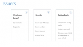 Bonds' Issuers and Investors