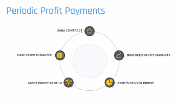 Profit Reserve Accounts 