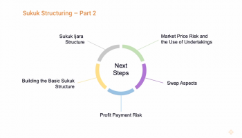 Sukuk - Part 2 Overview