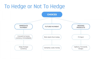 To Hedge or Not - FX and FX Spot