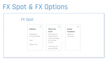 Introduction to FX and FX Spot