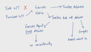 Trustee Options on Purchase Undertakings
